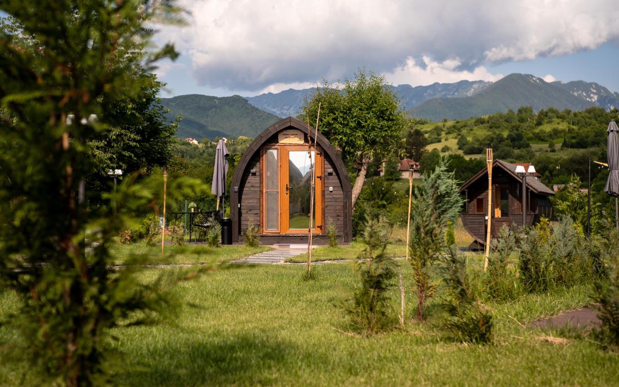 Glamp In Style Pods Resort ブラン エクステリア 写真