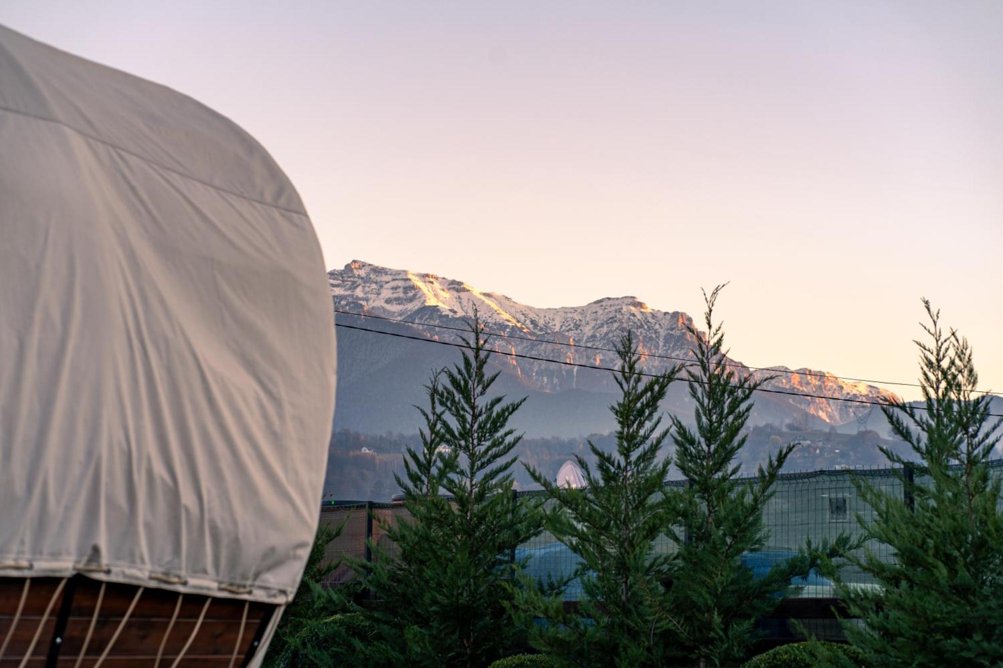 Glamp In Style Pods Resort ブラン エクステリア 写真